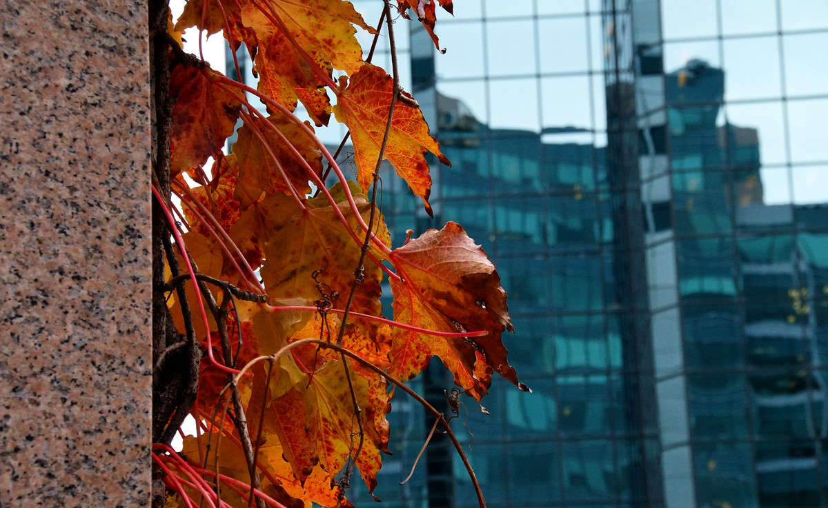 ������� ������ � ���� ������ ����� �������  �� PhotoGeek.ru #�����