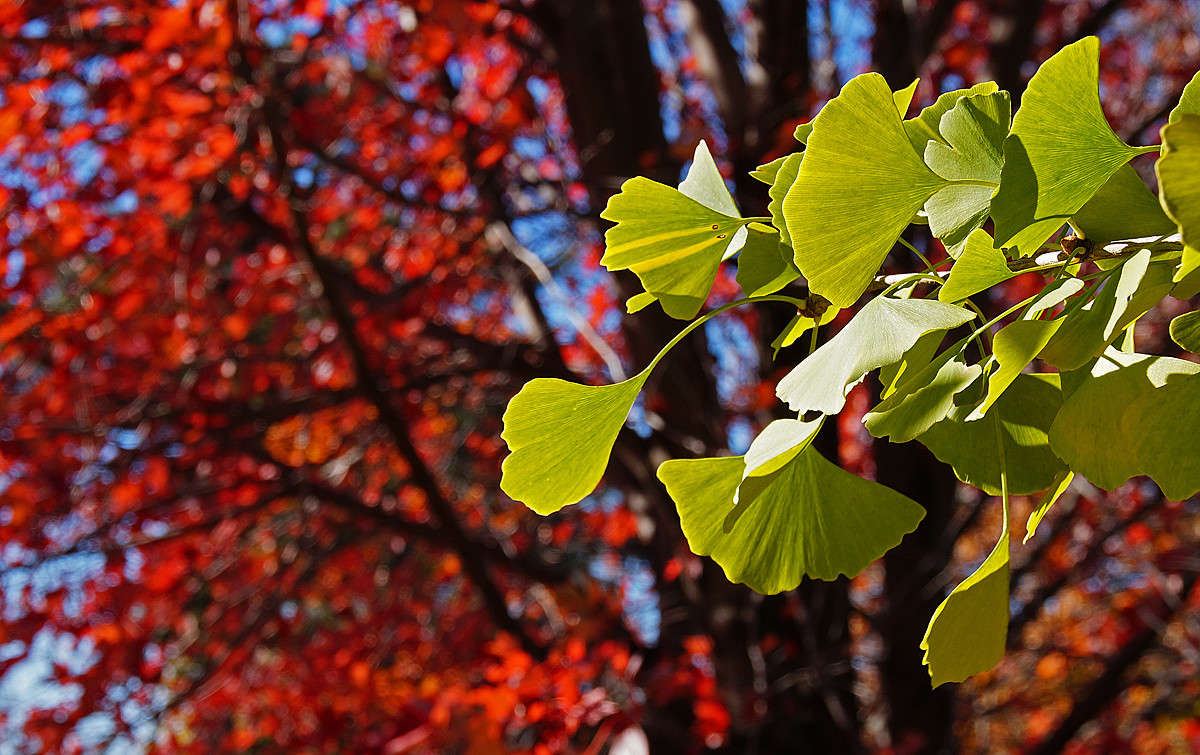 ������ �� ���� ����� �������  �� PhotoGeek.ru #������ ��� �������