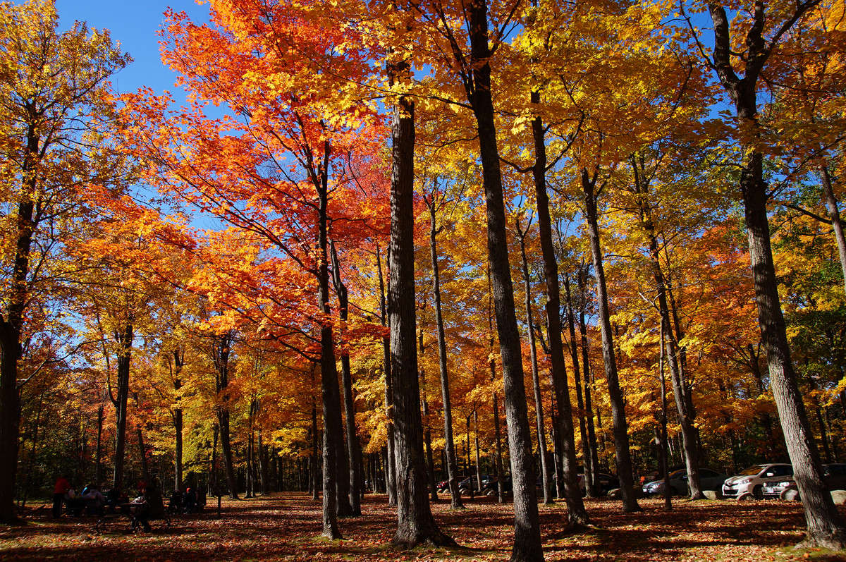 � �������� ��� ����� �������  �� PhotoGeek.ru #������ ��� �������