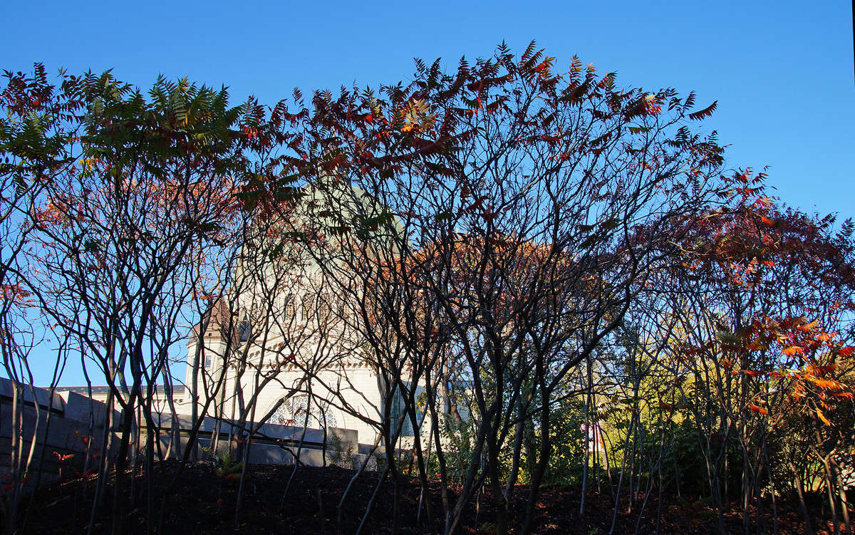 C�. ����� ����� �������  �� PhotoGeek.ru #�����