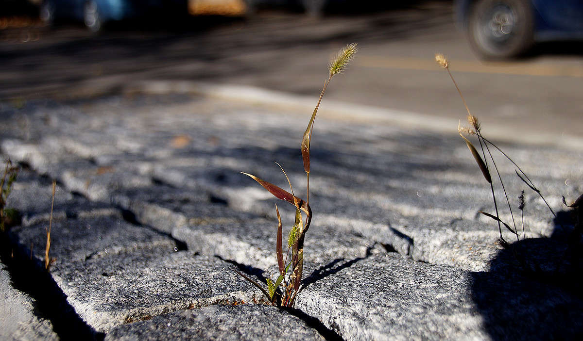 ���������� ����� �������  �� PhotoGeek.ru #�����