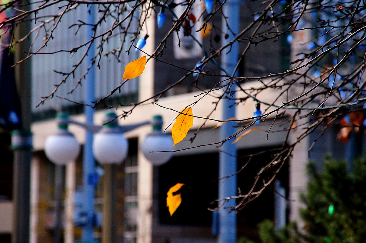 ����� ����� ����� ���! ����� �������  �� PhotoGeek.ru #�����