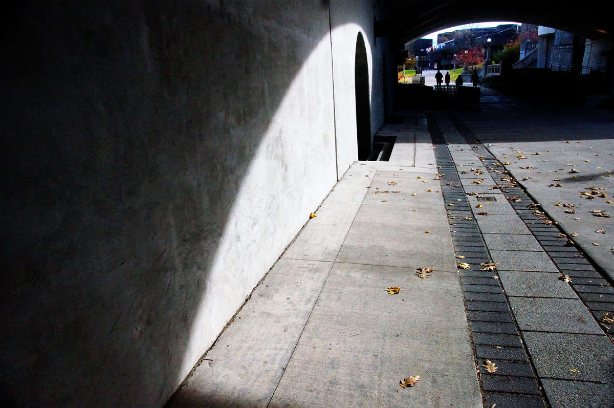 ���� � ����� ������� ����� �������  �� PhotoGeek.ru #�����