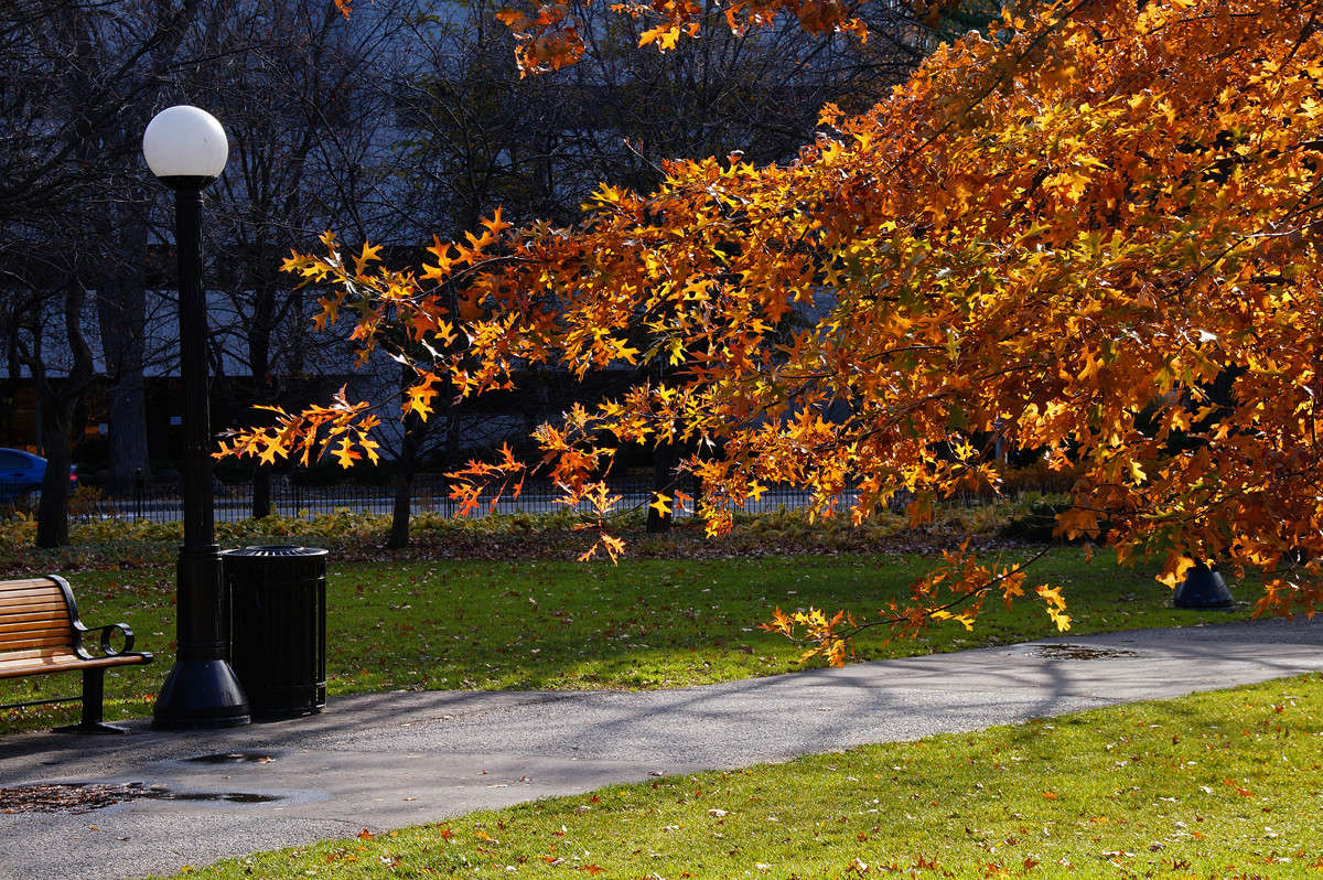 ����� ��� ������ ����� �������  �� PhotoGeek.ru #�����