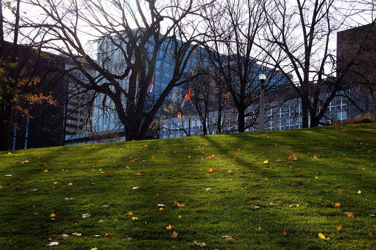 �� Elgin St. ����� �������  �� PhotoGeek.ru #�����