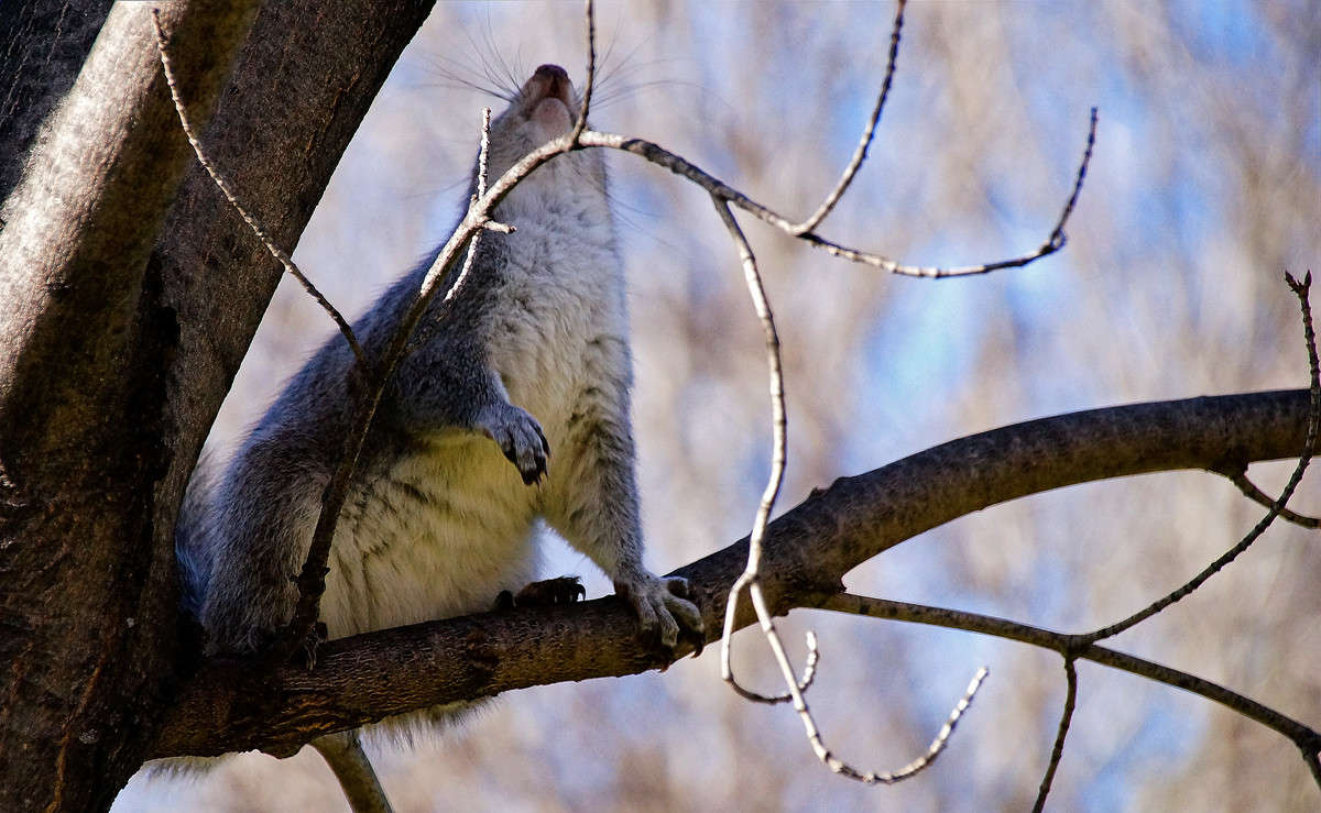 ������� ������� ����� �������  �� PhotoGeek.ru #�������� ���