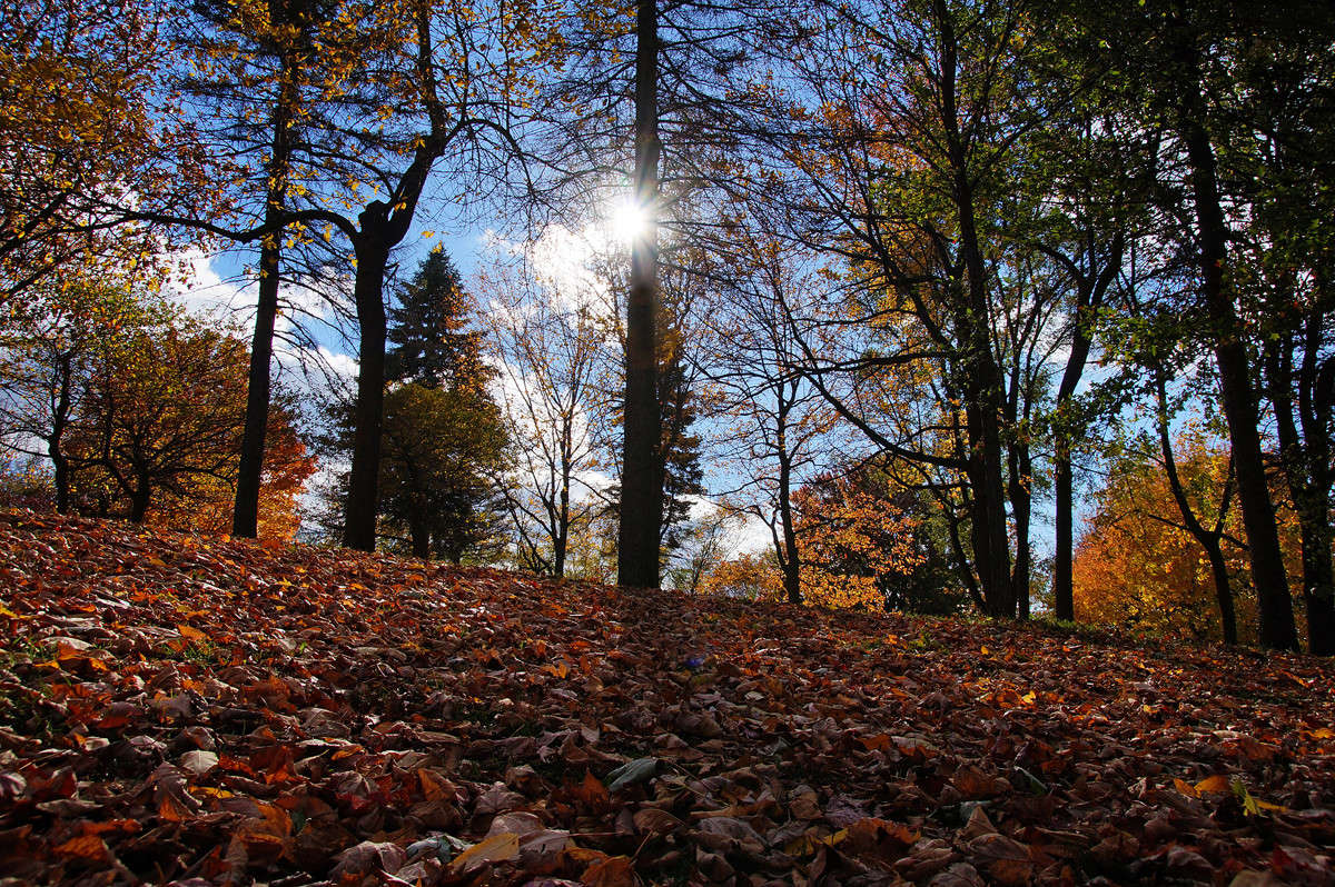 �������� �������� ������ ����� �������  �� PhotoGeek.ru #������ ��� �������