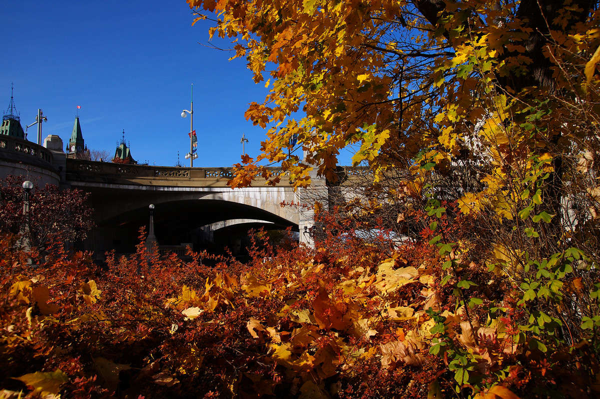 ����������� ����� ������� ������ ����� �������  �� PhotoGeek.ru #�����