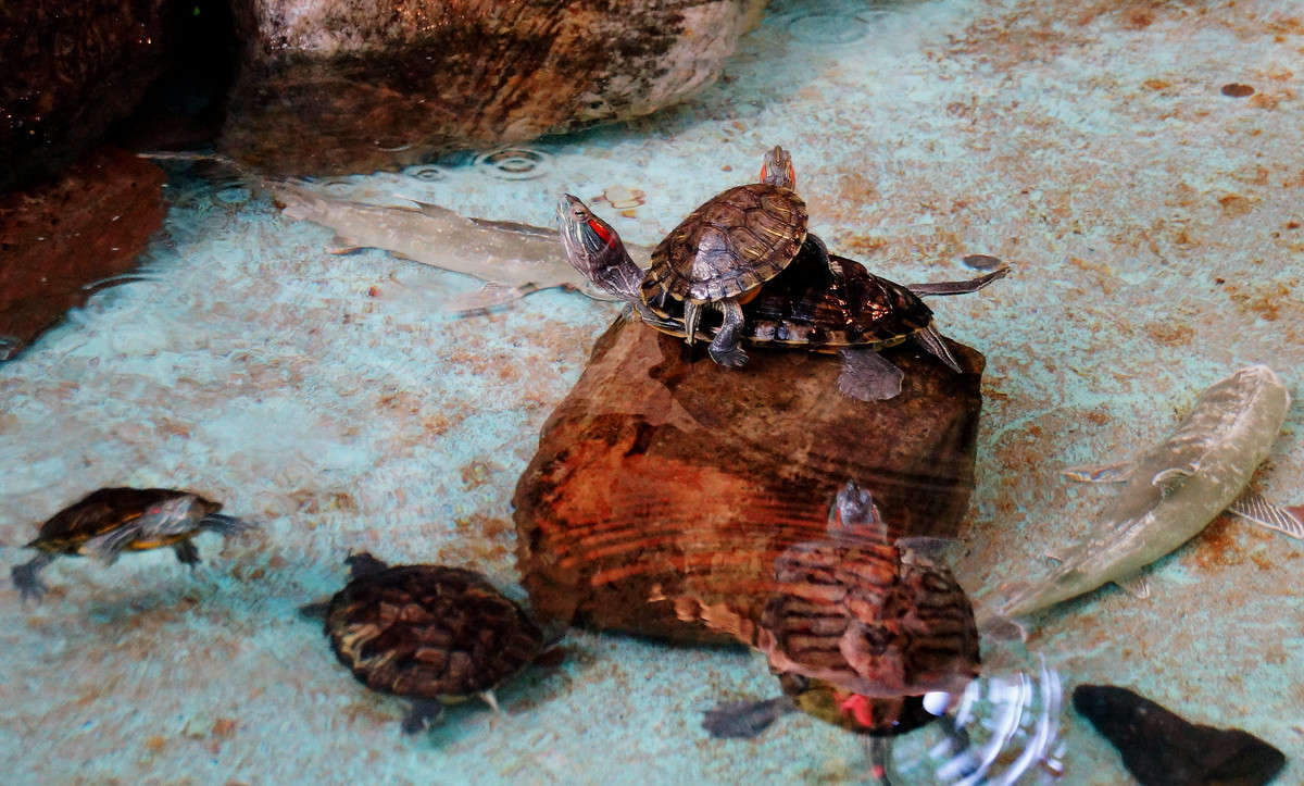 ���� ����� ����� �������  �� PhotoGeek.ru #�����