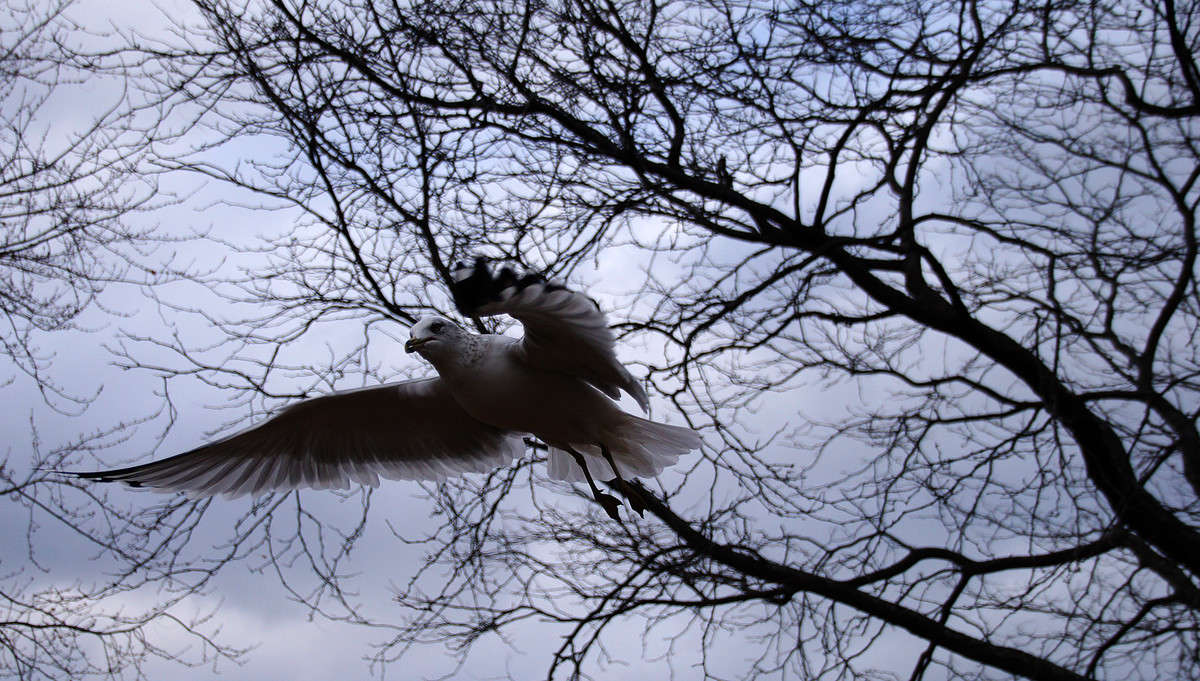 ������ ����������! ����� �������  �� PhotoGeek.ru #�������� ���