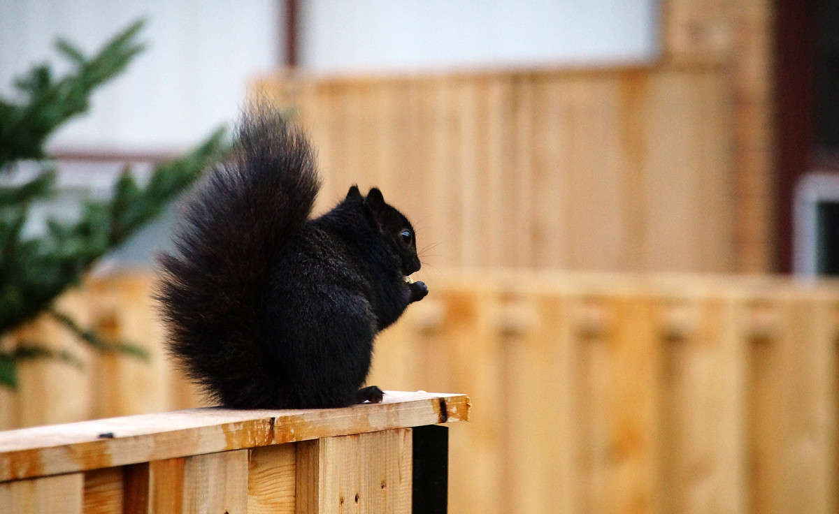 ����� �������� ����� �������  �� PhotoGeek.ru #�������� ���