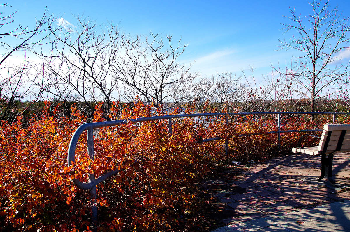 ���� �������� ����� �������  �� PhotoGeek.ru #�����