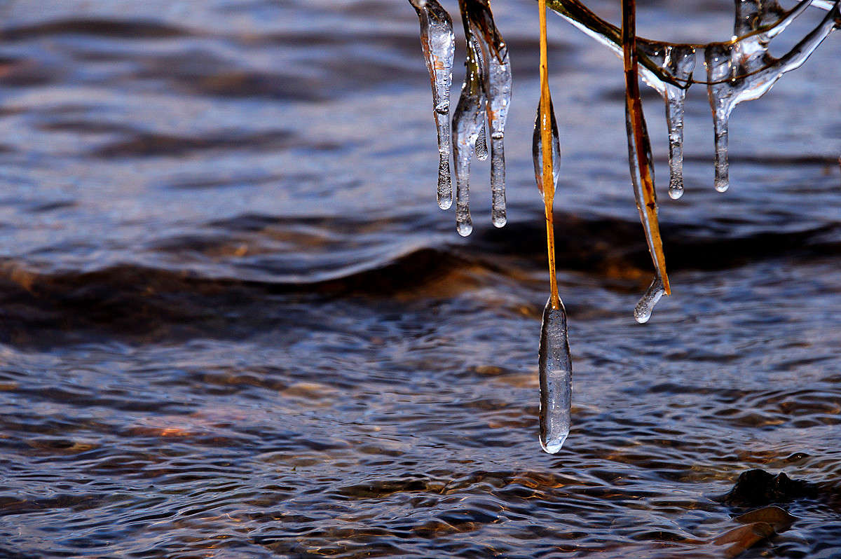 ������� ������� ��� ���� ����� �������  �� PhotoGeek.ru #������ ��� �������
