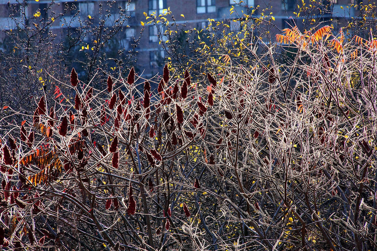 ����� ��������� � ���� ����� �������  �� PhotoGeek.ru #�����