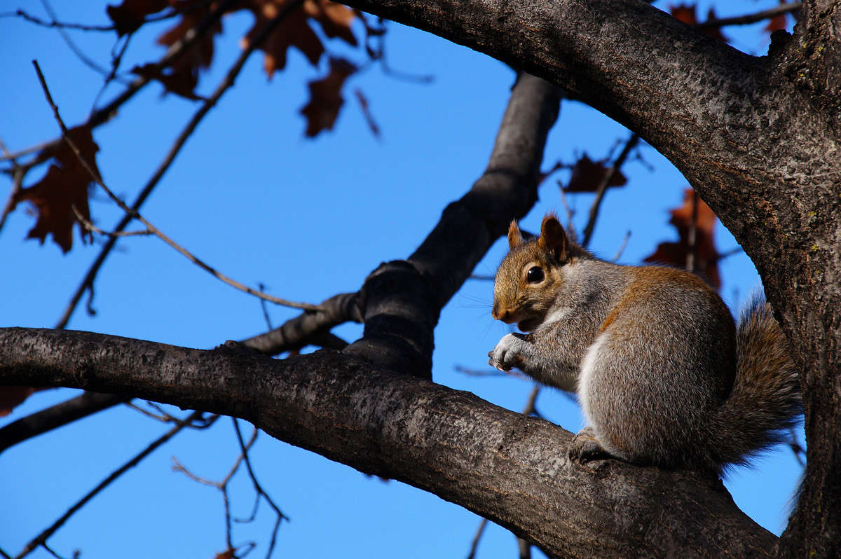 �������� �������� ����� �������  �� PhotoGeek.ru #�������� ���