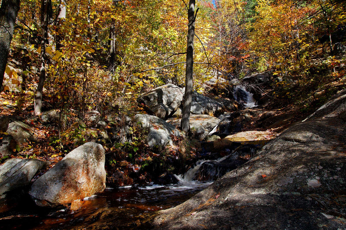 �������� �� �������� ����� �������  �� PhotoGeek.ru #������ ��� �������