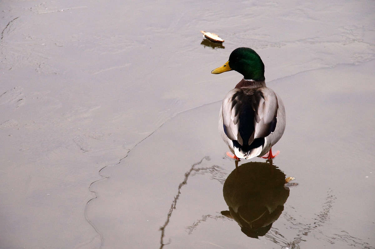 �� �� �� ������ ��� ������� ����� �������  �� PhotoGeek.ru #�������� ���