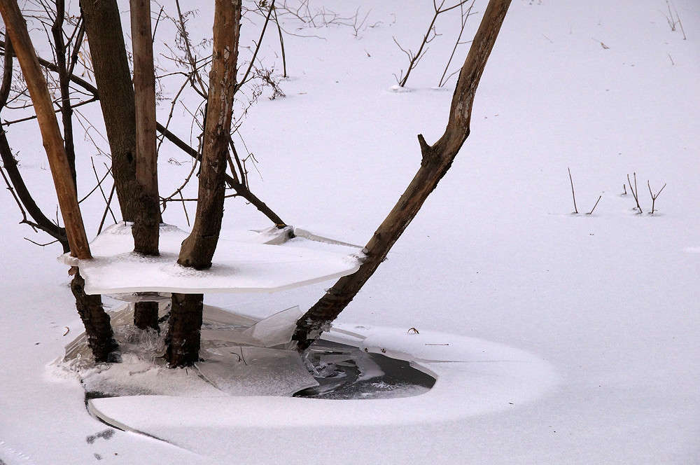 �������� ���� ����� �������  �� PhotoGeek.ru #������ ��� �������