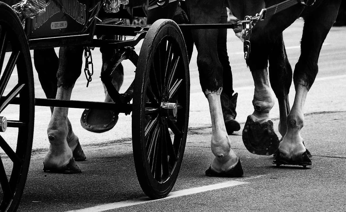 ������ ����� ����� �������  �� PhotoGeek.ru #�������� ���