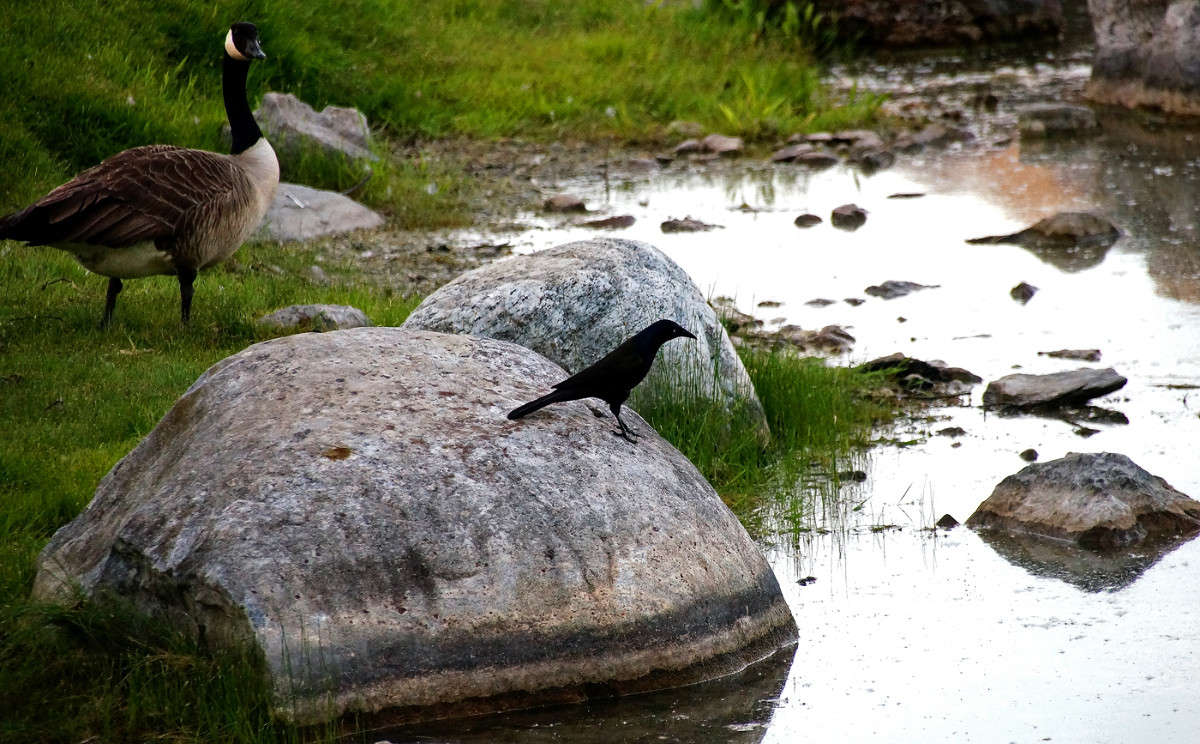 ���, �� ������� �������� ����� �������  �� PhotoGeek.ru #�������� ���