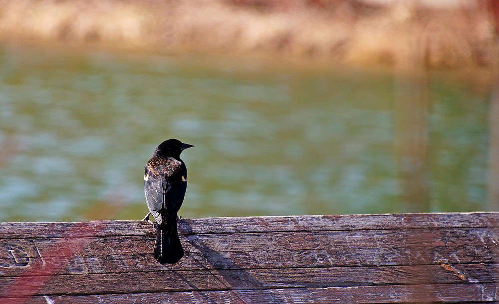 �� ������ ����� �������  �� PhotoGeek.ru #�������� ���