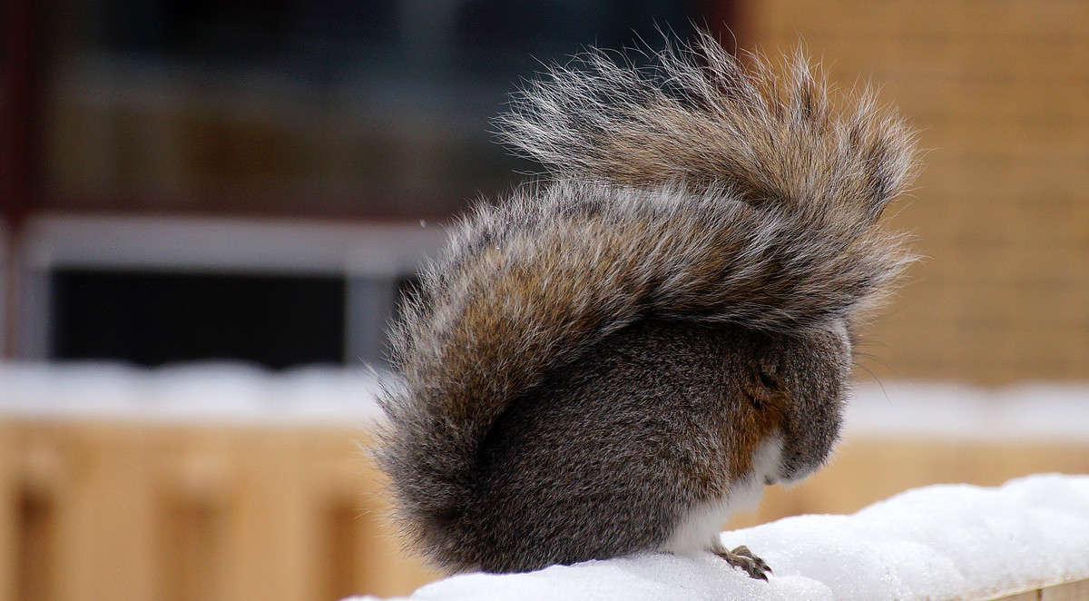 ���� ������� ����� �������  �� PhotoGeek.ru #�������� ���