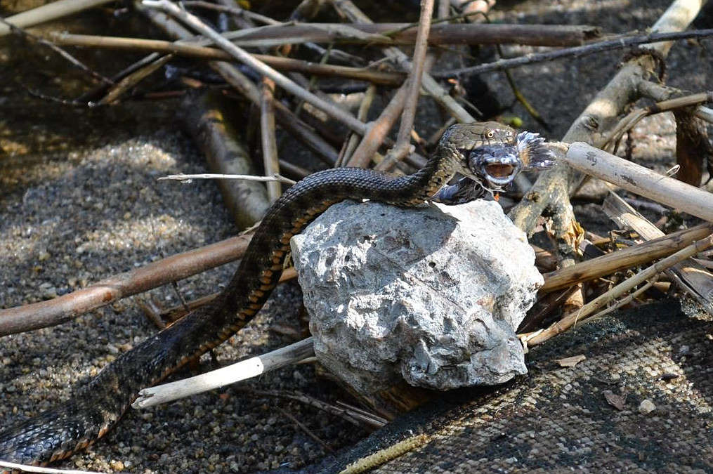 ���� ����� Alex P. �� PhotoGeek.ru #�������� ���