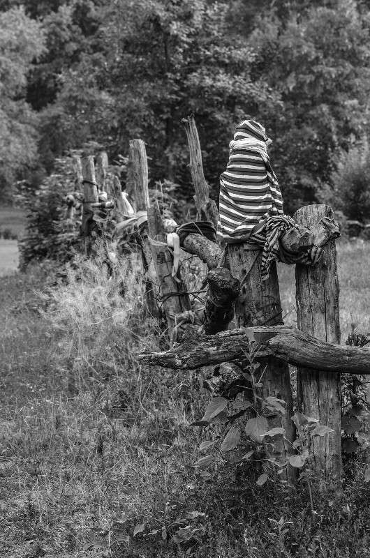 ����� ����� Alex P. �� PhotoGeek.ru #������ ��� �������