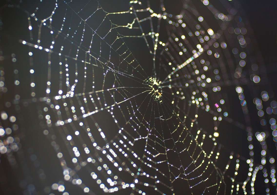 ��� ��� ������� ����� ������  �� PhotoGeek.ru #�������� ���