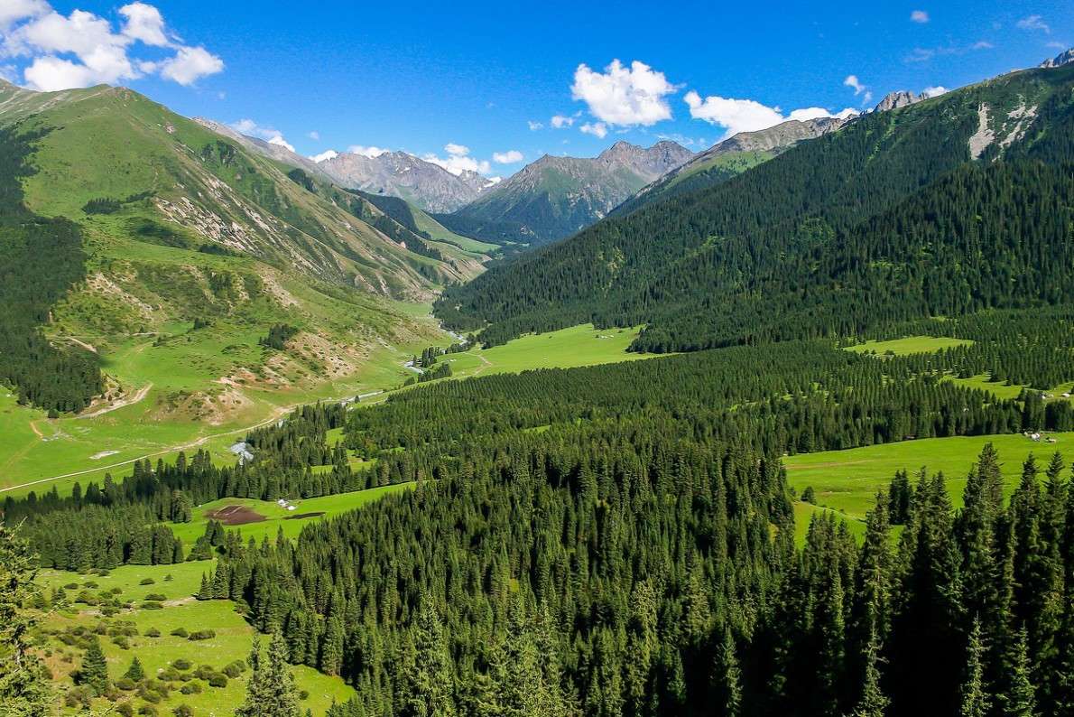 Благодать / Благодать / Фотография на PhotoGeek.ru