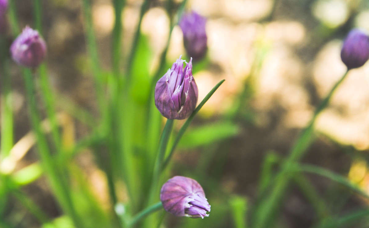 ... ����� ��������� ������ �� PhotoGeek.ru #������ ��� ������� #����� ��������������