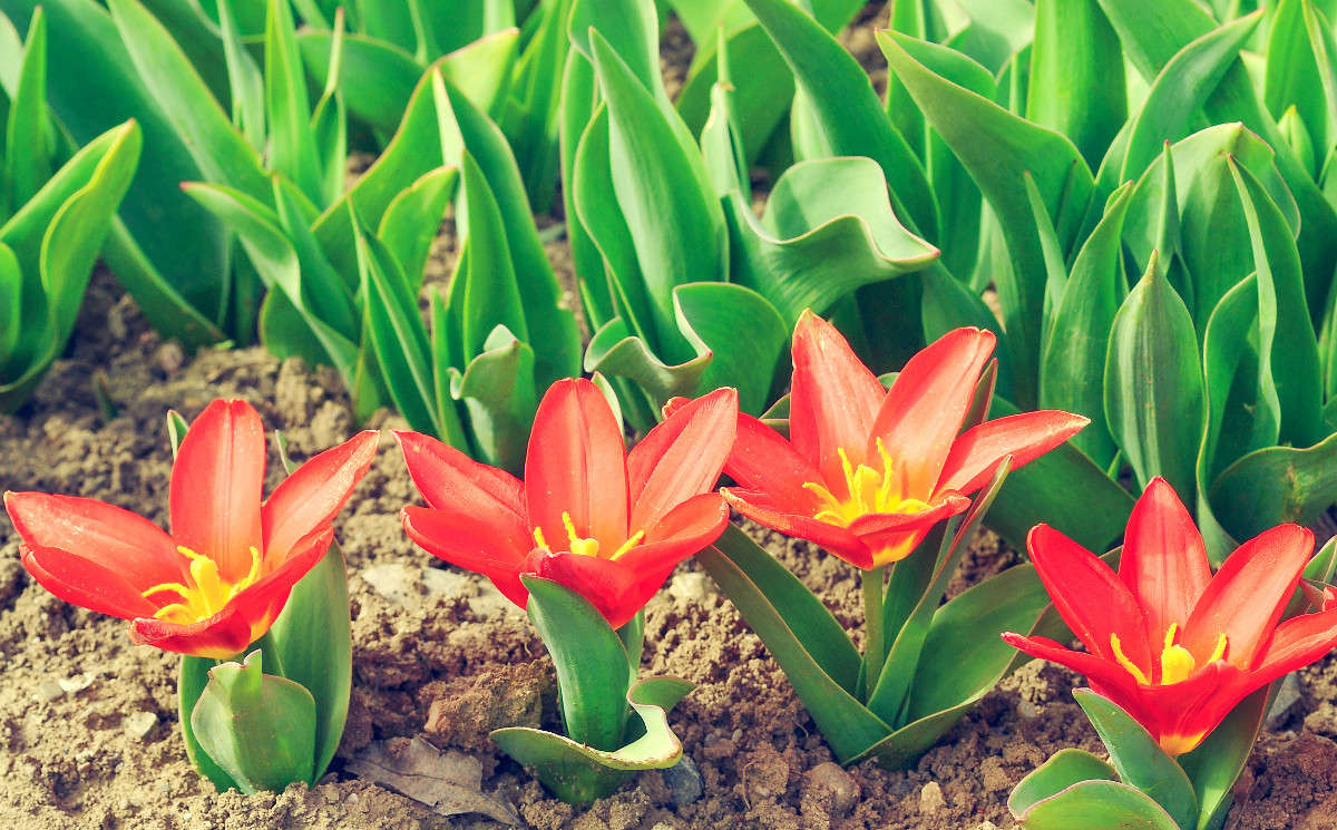 ... ����� ��������� ������ �� PhotoGeek.ru #������ ��� ������� #����� ��������������