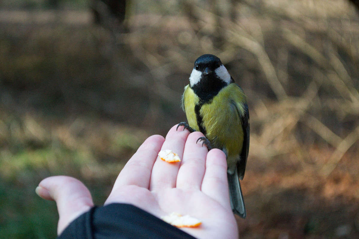 �� ����� ������� ������ ����� ��������� ������ �� PhotoGeek.ru #�������� ��� #����� ��� ��� ���������