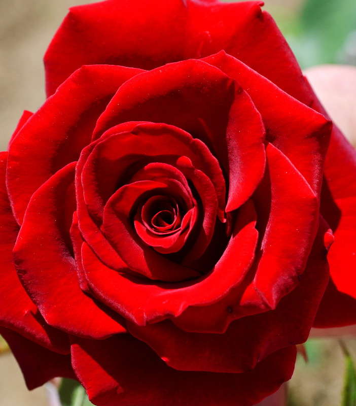 ���� ����� ��������� ������ �� PhotoGeek.ru #����� #������ ��� ������� #����� ��������������