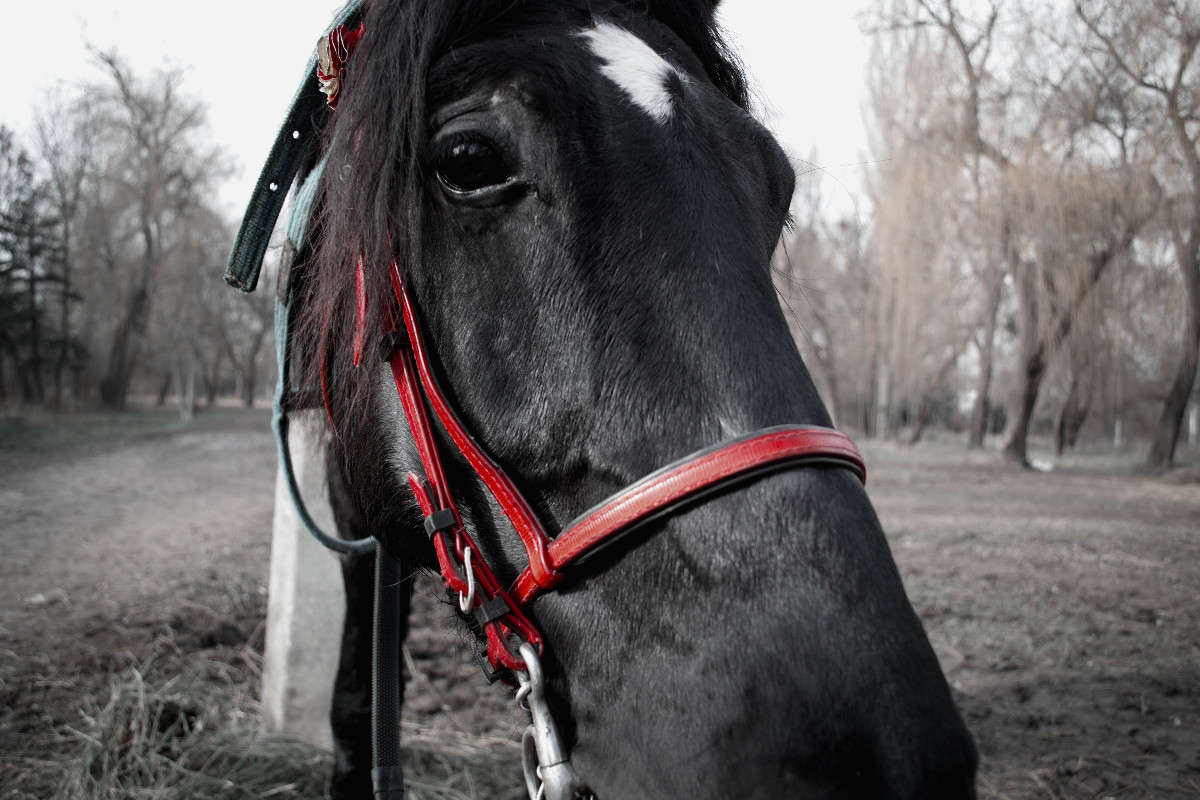 �������! ����� ��������� ������ �� PhotoGeek.ru #�������� ��� #�������� ���