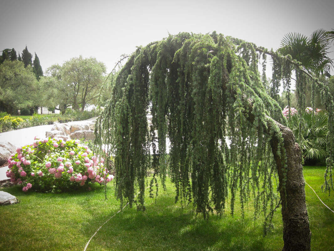 ... ����� ��������� ������ �� PhotoGeek.ru #������ ��� ������� #����� ��������������