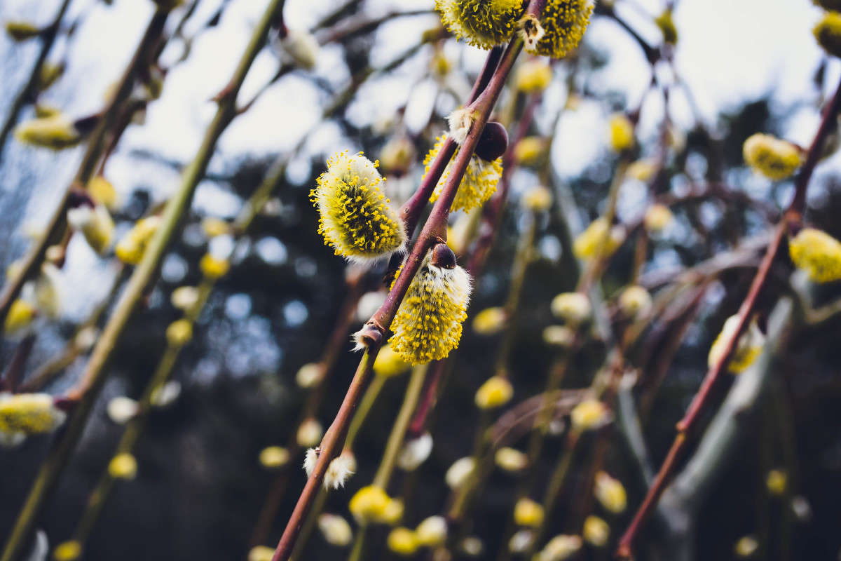 ����� �������� ����� ��������� ������ �� PhotoGeek.ru #����� #������ ��� ������� #����� ��������������