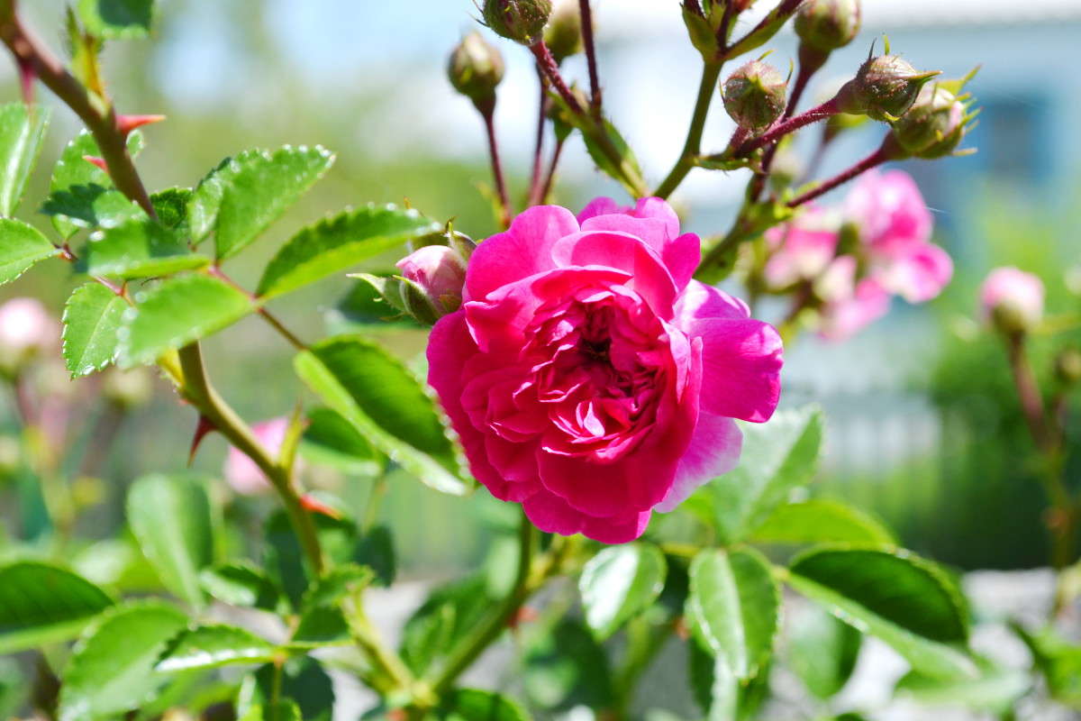 ��������� ����) ����� ��������� ������ �� PhotoGeek.ru #������ ��� ������� #����� �������������� #����