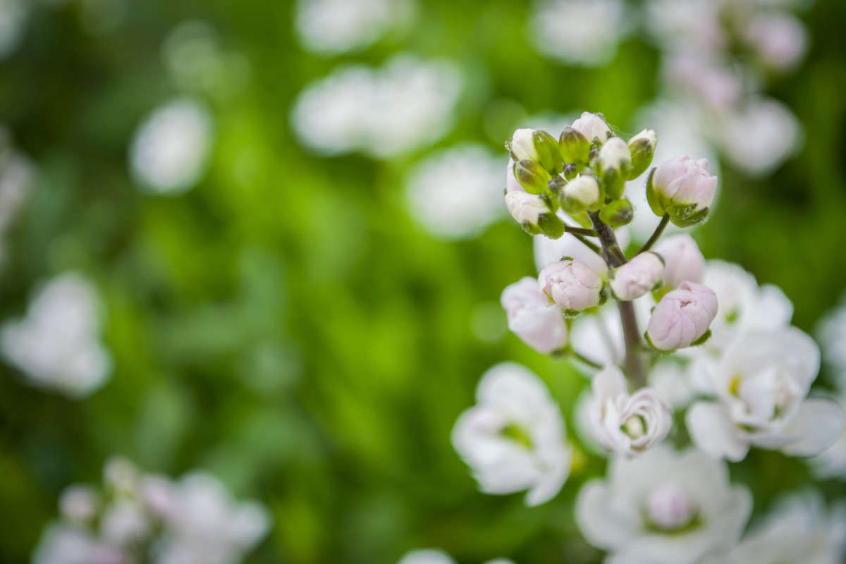 �������� ������ ����� ����� ��������� ������ �� PhotoGeek.ru #����� #����� ��������������