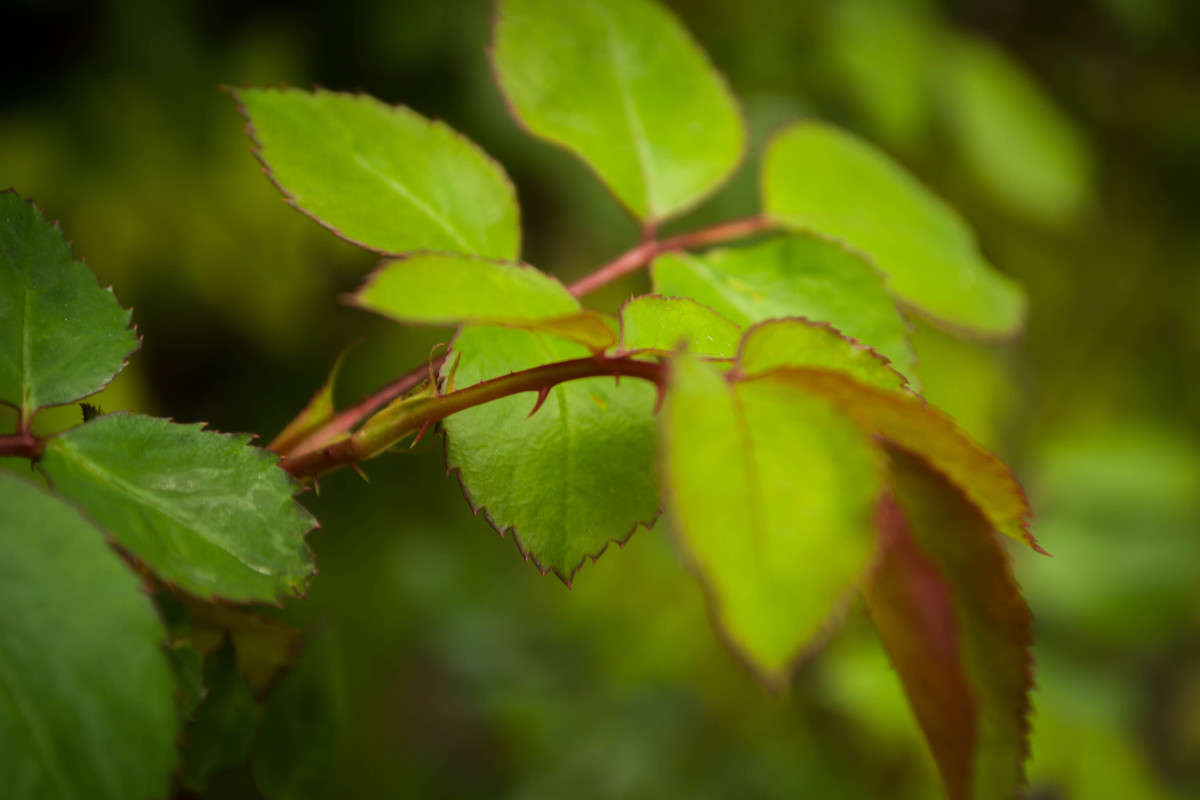 ... ����� ��������� ������ �� PhotoGeek.ru #����� #����� ��������������