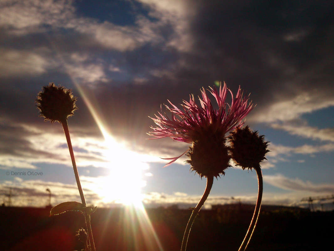 ������ ������ ����� ����� ����� �� PhotoGeek.ru #������ ��� ������� #����� ��������������