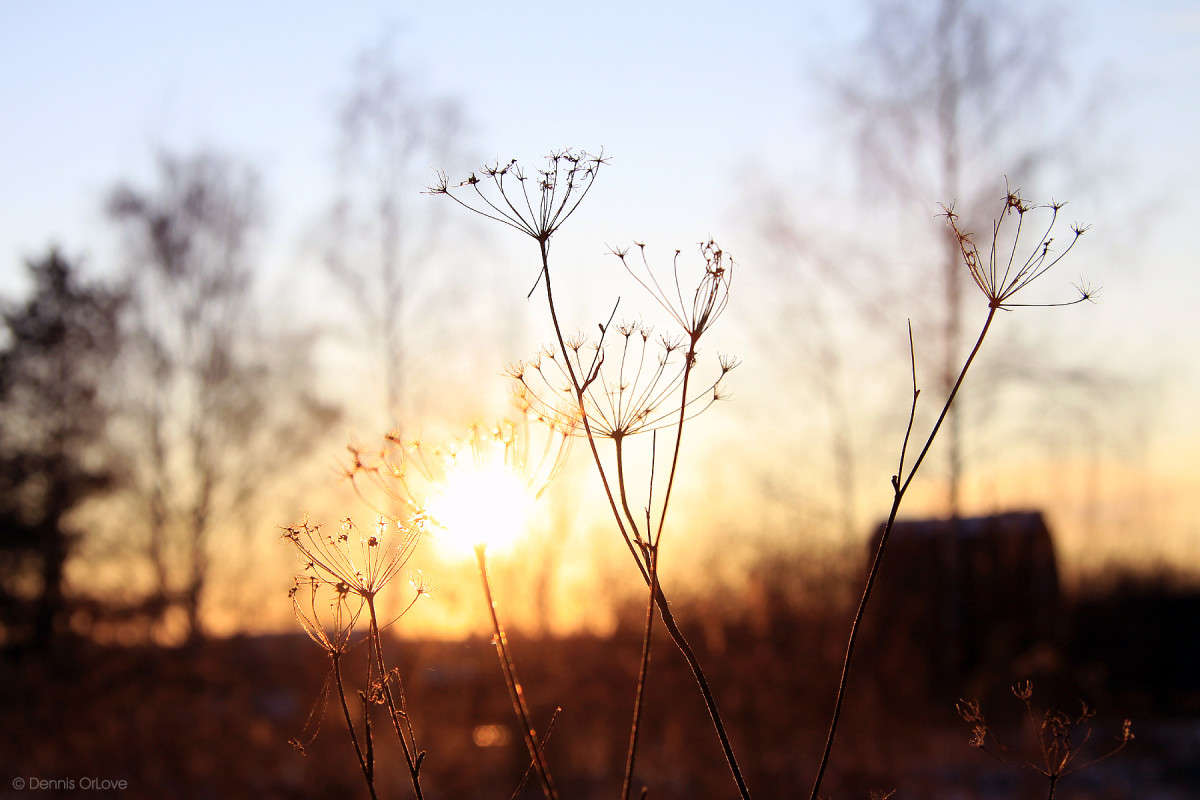 ����������� ���� ����� ����� ����� �� PhotoGeek.ru #������ ��� ������� #����� ��������������