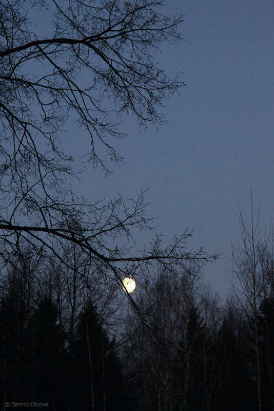 ���������� �� ���� ����� ����� ����� �� PhotoGeek.ru #������ ��� �������