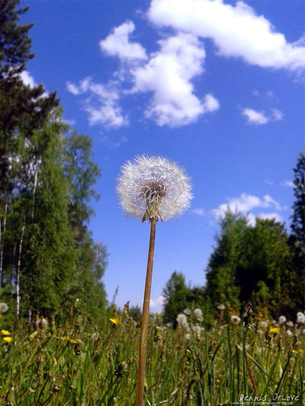 ������� ���� ����� ����� ����� �� PhotoGeek.ru #������ ��� ������� #����� ��������������