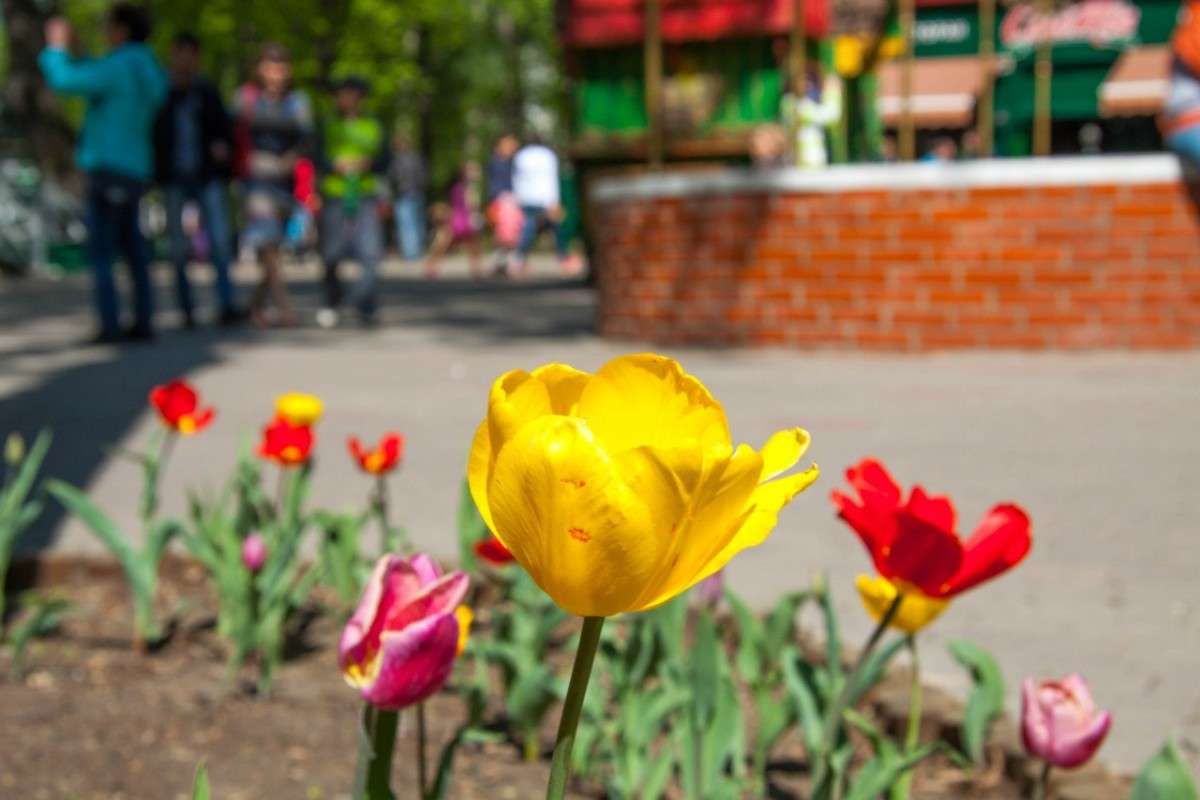 � ����� ����� ����� ����� �� PhotoGeek.ru #������ ��� ������� #����� ��������������