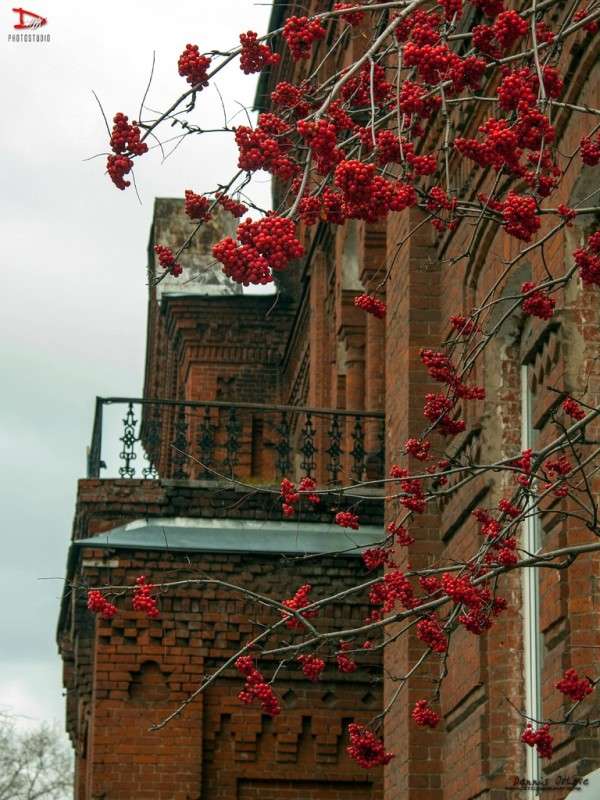 ������ ����� ����� ����� �� PhotoGeek.ru #�����