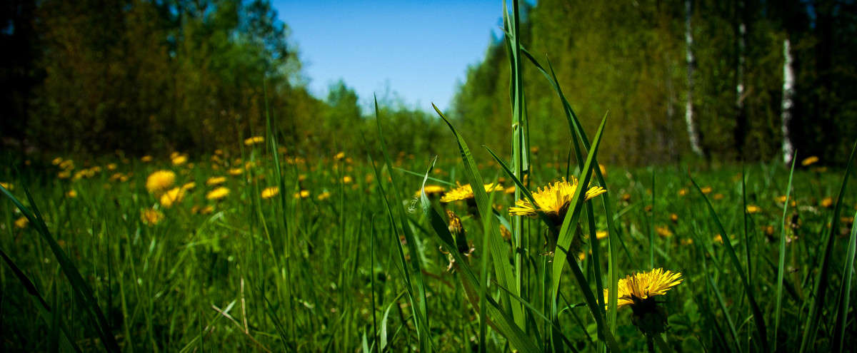 ���������� ����� ����� ����� �� PhotoGeek.ru #������ ��� �������