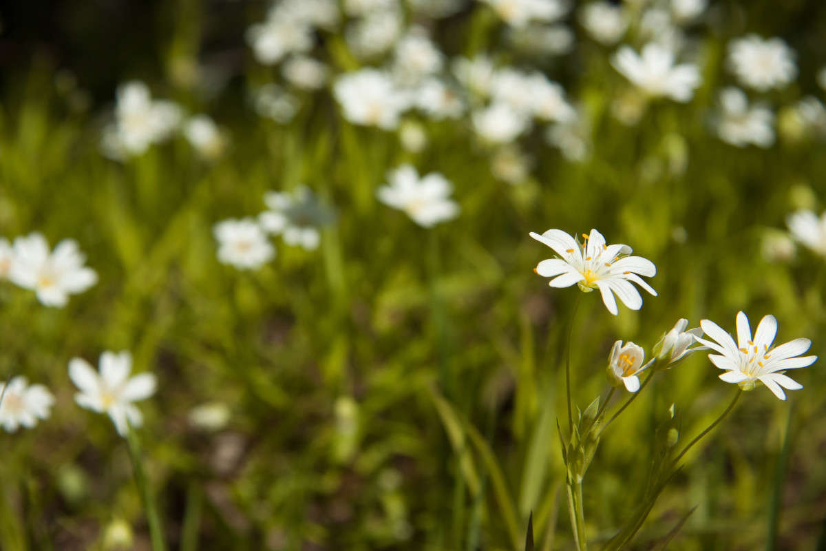 ���� ����! ����� ����� ����� �� PhotoGeek.ru #������ ��� �������