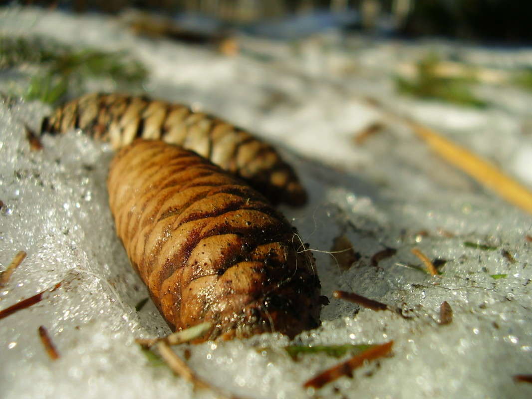 ����� � ���� ����� ����� ����� �� PhotoGeek.ru #������ ��� �������