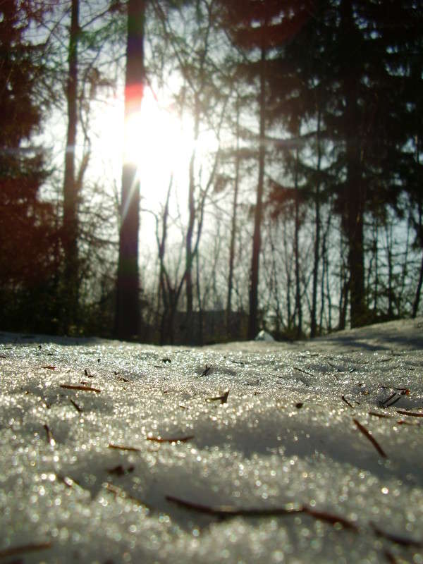 ����� ����, ���� �����... ����� ����� ����� �� PhotoGeek.ru #������ ��� �������